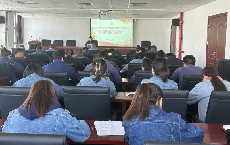 工投公司紀(jì)委召開2023年度第三次學(xué)習(xí)（擴(kuò)大）會(huì)暨&ldquo;清明節(jié)&rdquo;前廉政警示教育會(huì)