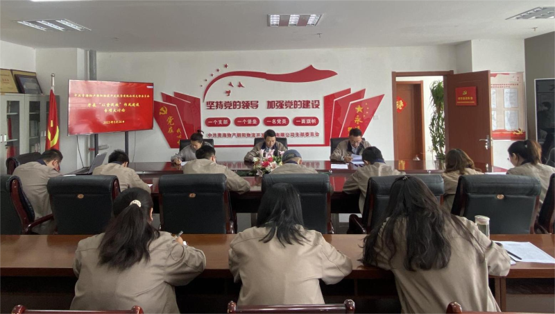 以案促改轉(zhuǎn)作風(fēng) 堅(jiān)守底線樹新風(fēng)   &mdash;&mdash;青海物產(chǎn)朝陽物流開發(fā)投資有限公司支部委員會(huì)開展&ldquo;以案促改&rdquo;作風(fēng)建設(shè)專項(xiàng)大討論