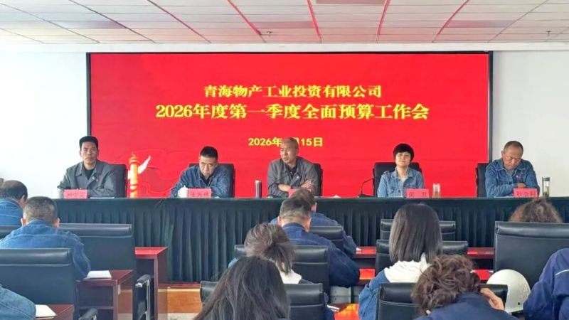 工投公司召開一季度預算執(zhí)行情況分析會