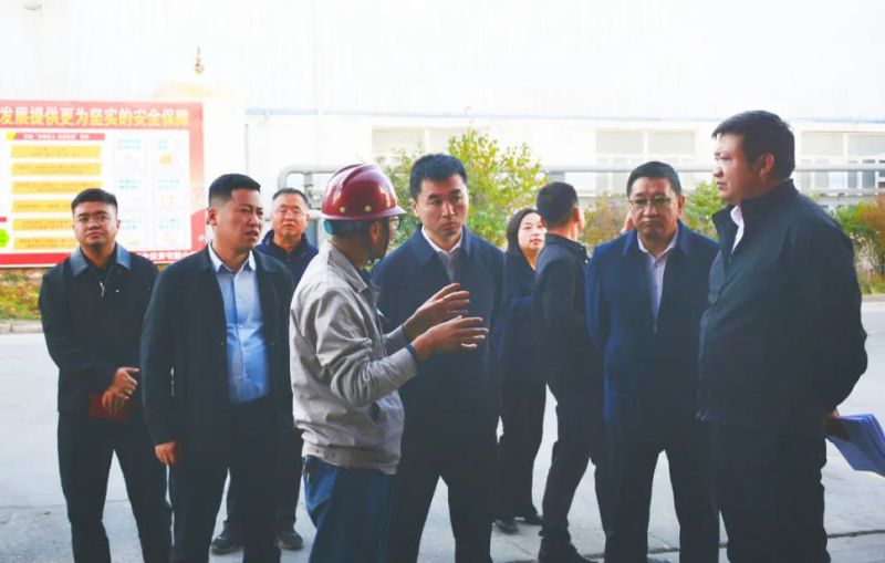 大通縣委副書記、縣長馬明旭一行蒞臨工投公司調(diào)研指導